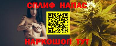 гидра Шебекино