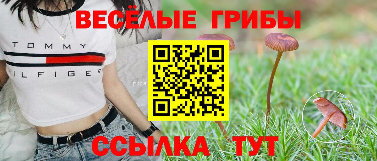 Псилоцибиновые грибы мицелий  Вход с VPN  Белая Калитва 